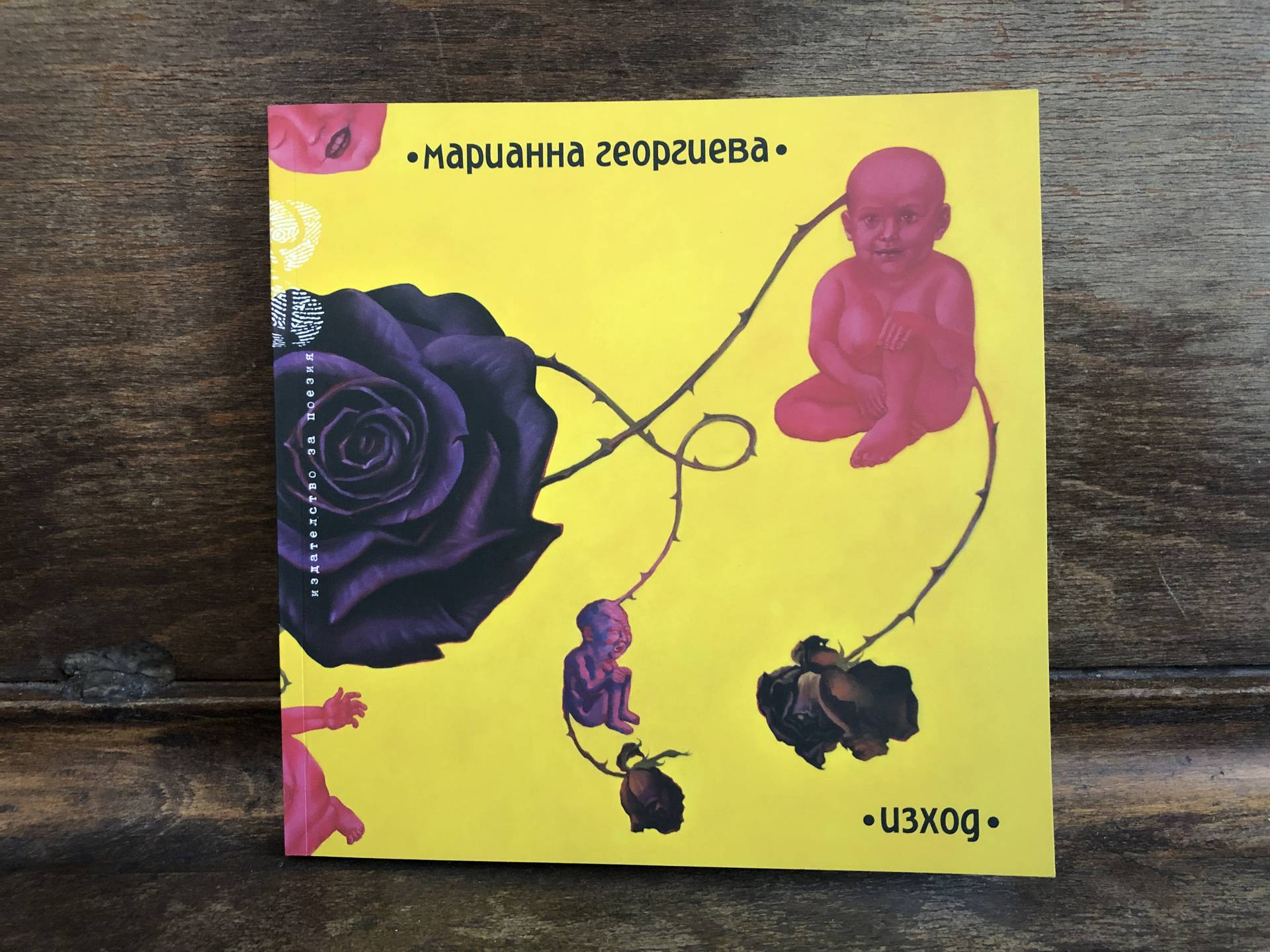 Витрина: "Изход" от Марианна Георгиева | Свободно поетическо